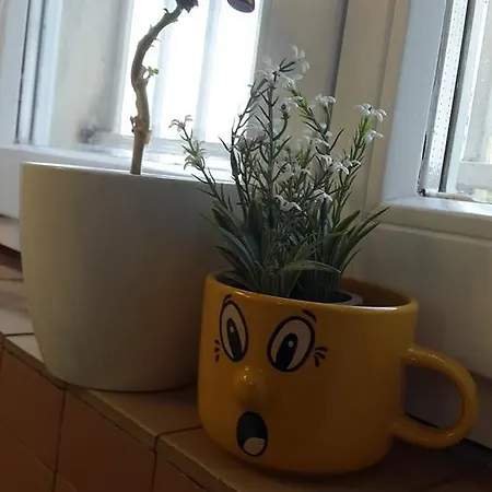 Little Paradise Saraievo