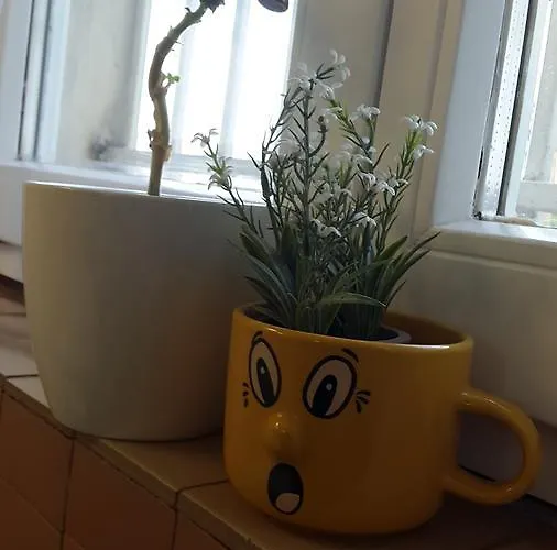 Little Paradise Sarajevo